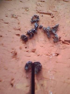 IMG0067A.jpg
