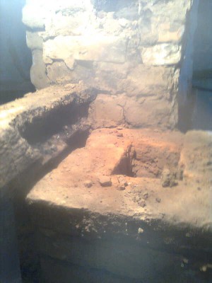 1186.jpg