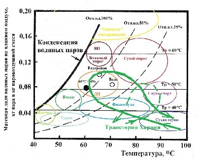 сауна.jpg