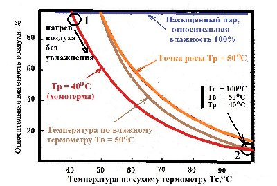 по хомотерме.jpg