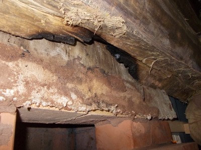 DSCN2206.JPG