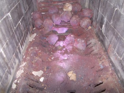 DSCN3588.JPG
