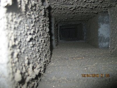 IMG_2548_1.jpg