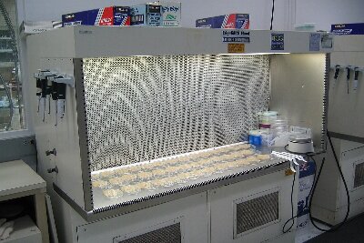 Laminar_flow_hood.jpg