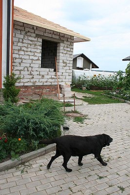 242011_1.jpg