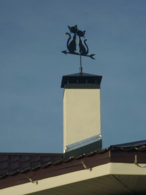 PA230085_ .jpg