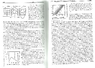 Scan.jpg