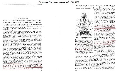 Scan.jpg
