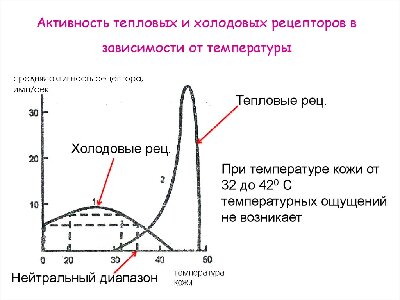 !slide-12.jpg