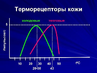 slide-48.jpg