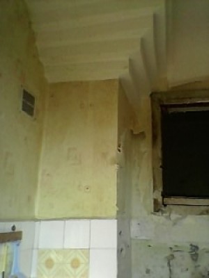 SP_A0537.jpg